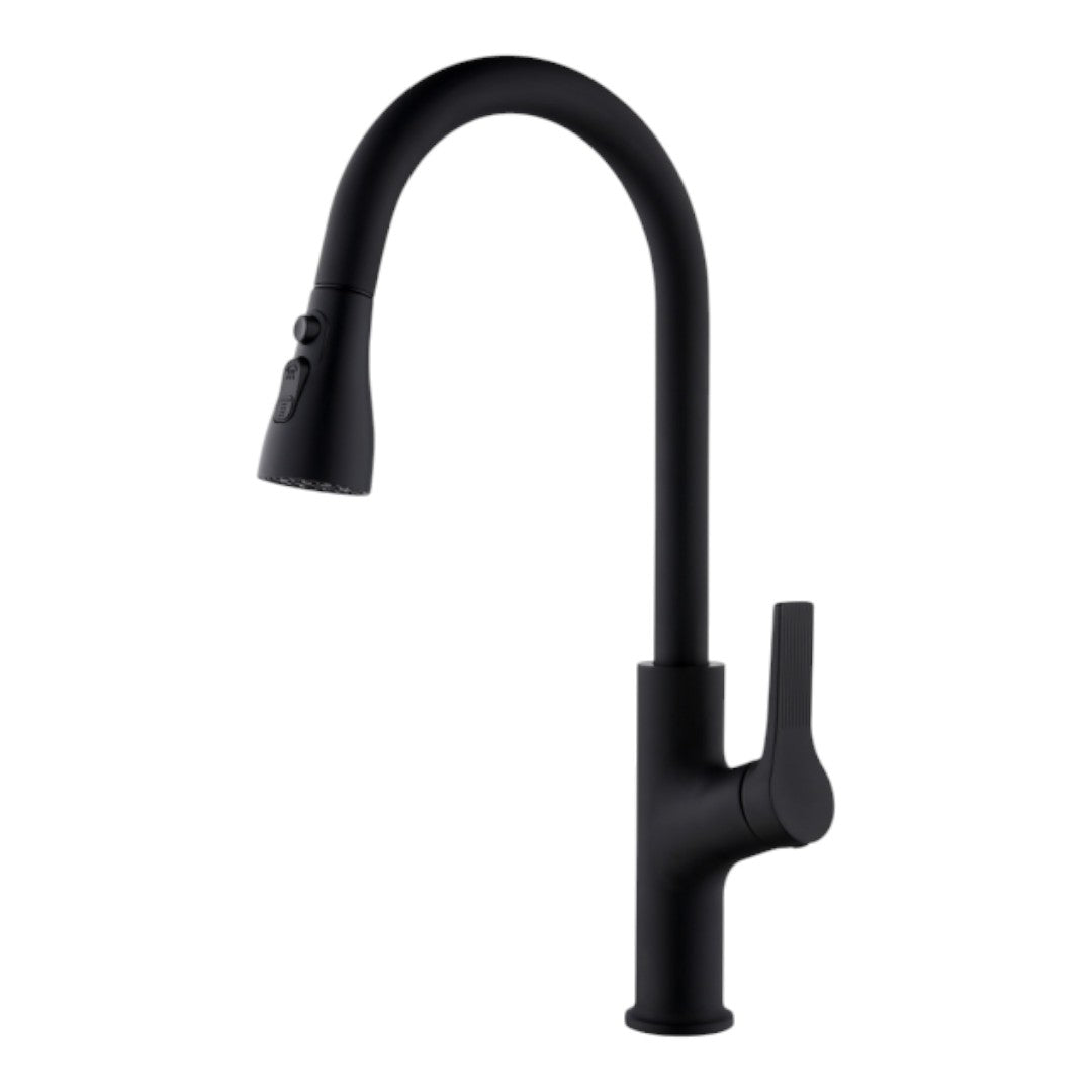 Nysha Pull Out Kitchen Faucet, Model M7