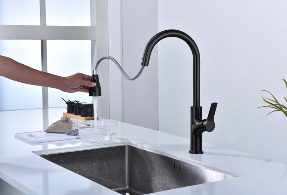 Nysha Pull Out Kitchen Faucet, Model M7