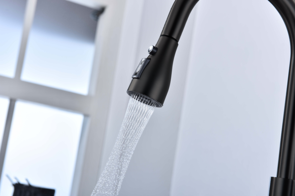 Nysha Pull Out Kitchen Faucet, Model M7