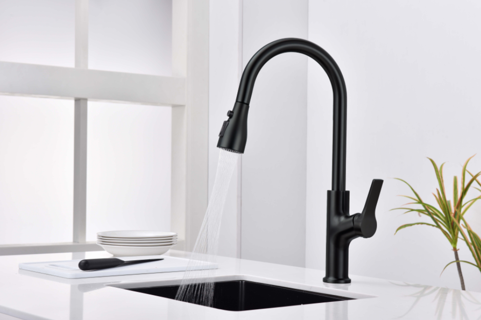 Nysha Pull Out Kitchen Faucet, Model M7