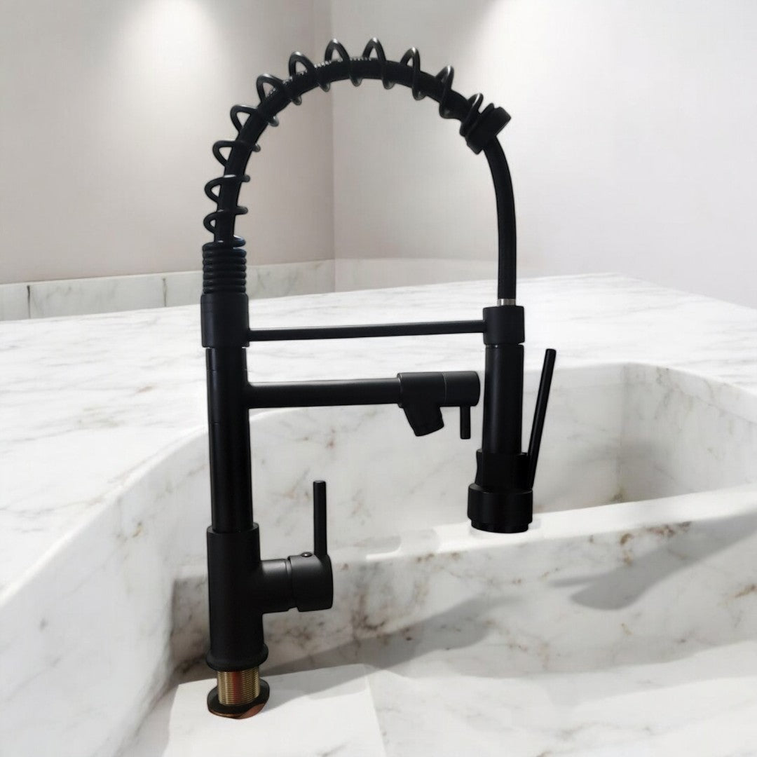 Nysha Stainless Steel Pull-Down Kitchen Faucet with Extra Tap, Model M4