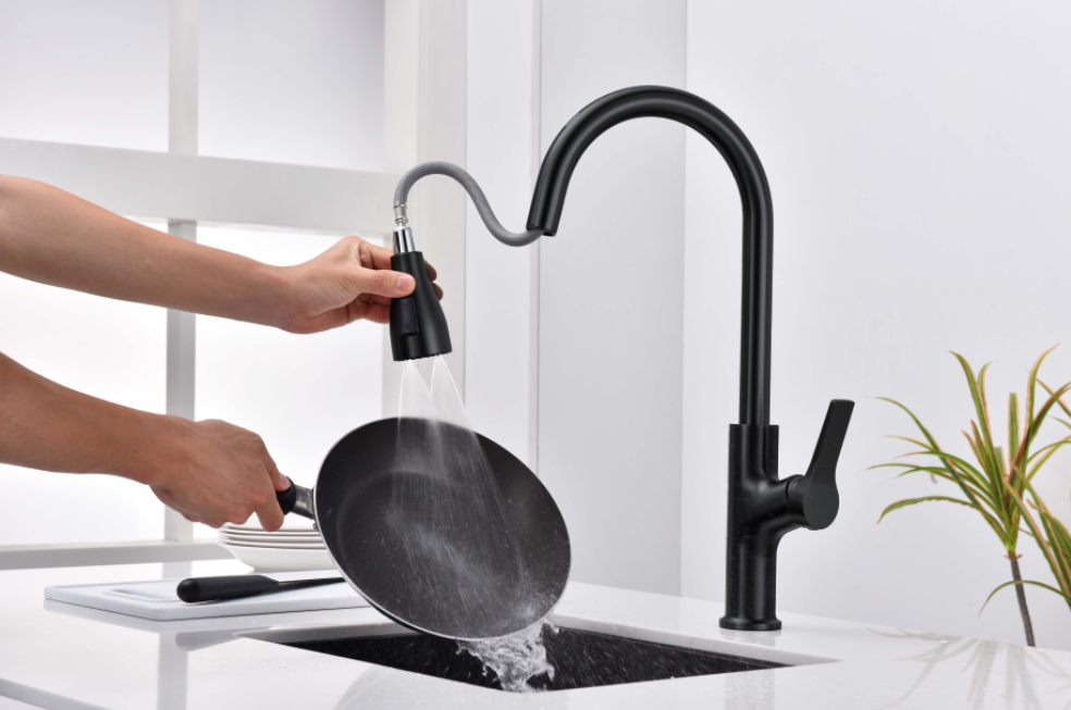 Nysha Pull Out Kitchen Faucet, Model M7