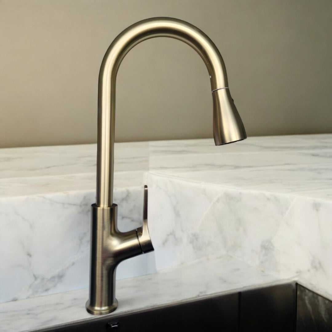 Nysha Pull Out Kitchen Faucet, Model M7